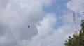 4k Endemic Flores hawk-eagle flying over city harbor area 4k or 4k+ Resolution