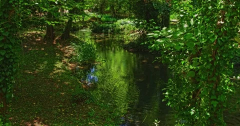 4K  Everything is green Stock Footage 46030118