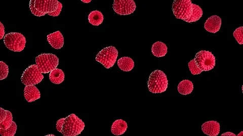 4K Exploding Flying of Raspberry in Black Background Stock Footage 259688157
