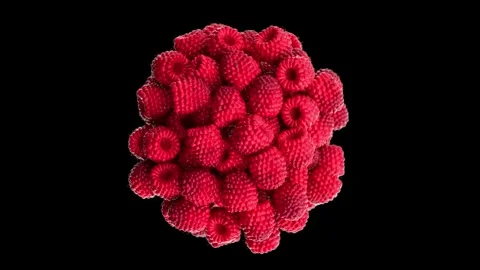 4K Exploding Flying of Raspberry in Black Background Stock Footage 260028029