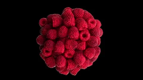 4K Exploding Flying of Raspberry in Black Background Stock Footage 261002935