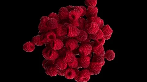4K Exploding Flying of Raspberry in Black Background Stock-Footage 261698782