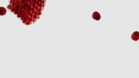 4K Exploding Raspberries with water on a Transparent Background. Stock Footage 256943634