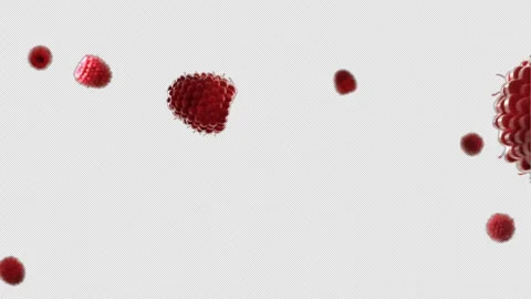 4K Exploding Raspberries with water on a Transparent Background. Stock-Footage 257889155