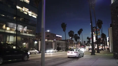 4K EXT NIGHT static Los Angeles road in traffic with palm trees Stock Footage 73803643