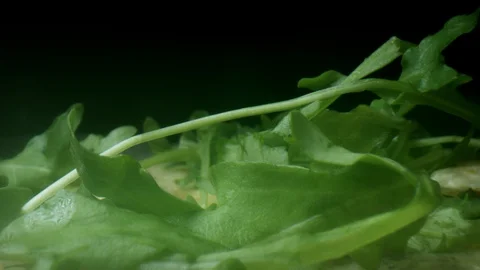 4k Extreme Close-up Macro Shot of Rocket on Pizza Vídeo Stock 116706928