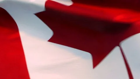 4K Extreme Close Up of Red Maple Leaf, Slow Motion Canada Flag, National Symbol Stock Footage 80380326