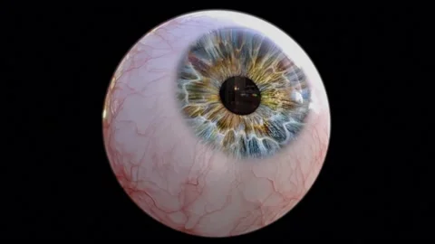 4K EYEBALL LOOP 스톡 동영상 158897568