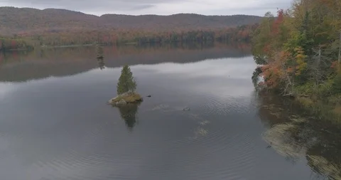 4K Fall Colors with Ducks and Island Stock Footage 92338913