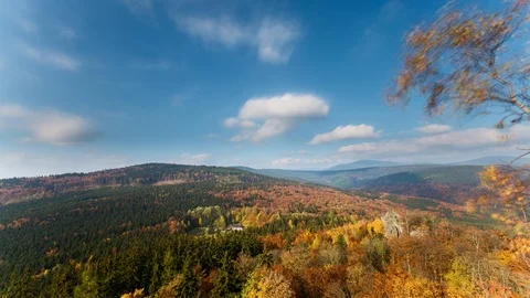 4K Fall colors forest and clouds above Stock Footage 119136131