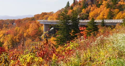 4K Fall foliage on a mountainside with an elevated road wrapping around the Stock Footage 220753094