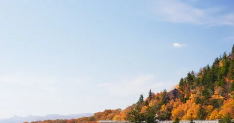 4K Fall foliage on a mountainside with an elevated road wrapping around the Stock Footage 220753185