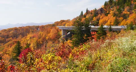 4K Fall foliage on a mountainside with an elevated road wrapping around the Stock Footage 220753275