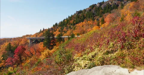 4K Fall foliage on a mountainside with an elevated road wrapping around the Stock Footage 220897978