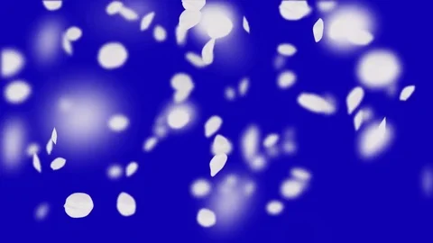 4K Falling Cherry Petals Stock Footage 74295121