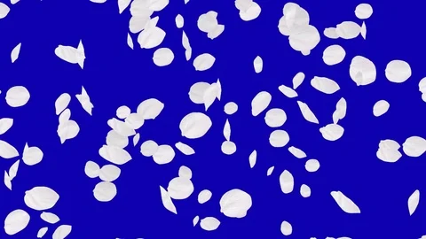 4K Falling Cherry Petals Stock Footage 74295133