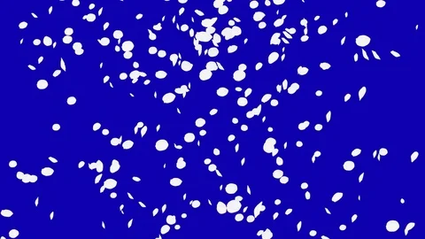 4K Falling Cherry Petals Stock Footage 74295135