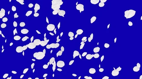 4K Falling Cherry Petals Stock Footage 74295136