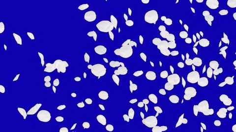 4K Falling Cherry Petals Stock Footage 74295139