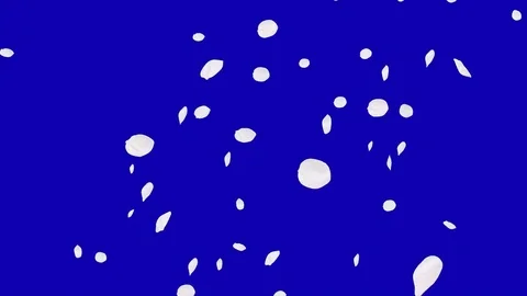 4K Falling Cherry Petals Video stock 74295173