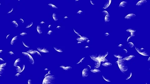 4K Falling Feather Stock Footage 74297197