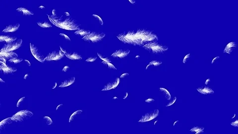 4K Falling Feather Stock Footage 74297198