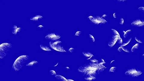 4K Falling Feather Stock Footage 74297199