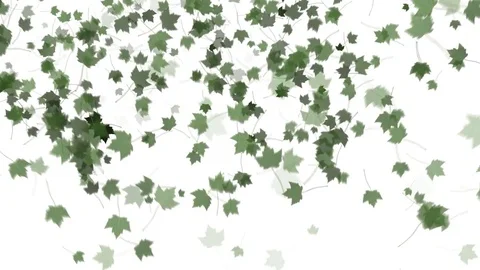 4K Falling Leaves Stock Footage 74305394