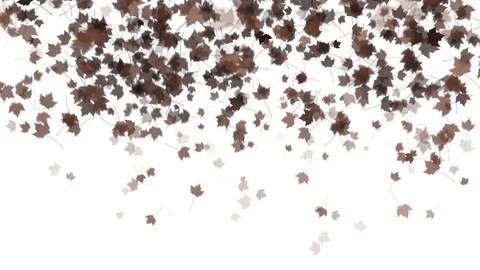 4K Falling Leaves Stock Footage 74305395
