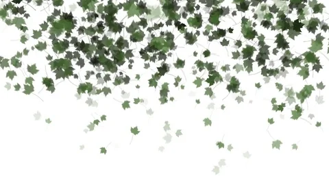 4K Falling Leaves Stock Footage 74305396