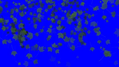 4K Falling Leaves Stock Footage 74305397