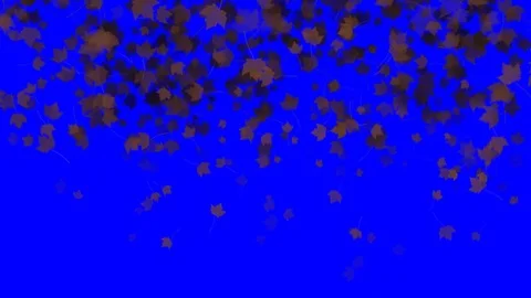 4K Falling Leaves Stock Footage 74305399