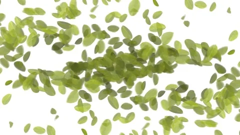 4K Falling Leaves Stock Footage 74305452
