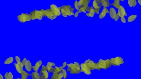 4K Falling Leaves Stock Footage 74305458