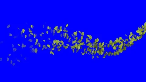 4K Falling Leaves Stock Footage 74305474