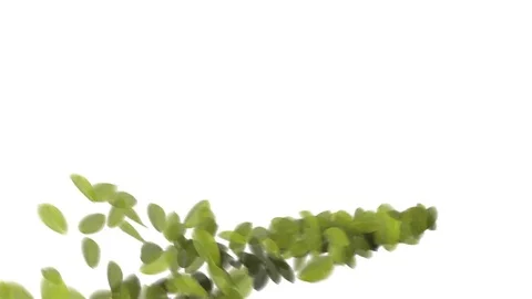 4K Falling Leaves Stock Footage 74305475