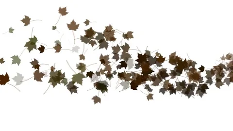 4K Falling Leaves Stock Footage 74305485