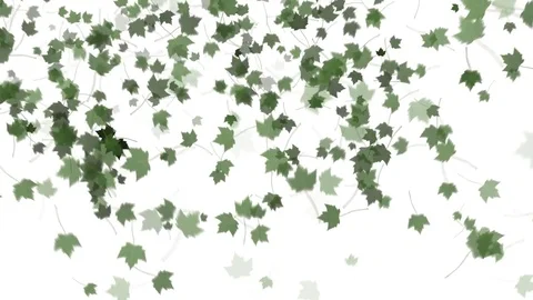 4K Falling Leaves Stock-Footage 74305497