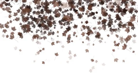 4K Falling Leaves Stock Footage 74305501