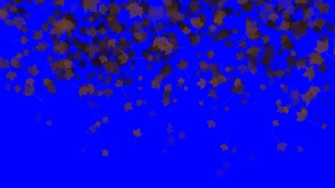4K Falling Leaves Stock Footage 74305502