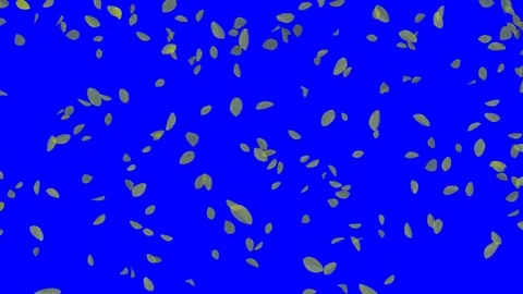 4K Falling Leaves Stock-Footage 74305518