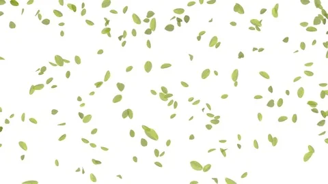 4K Falling Leaves 스톡 동영상 74305519