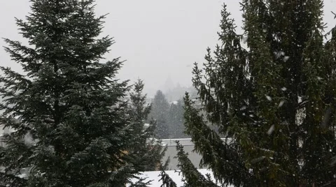 4K Falling snow Stock Footage 46703475