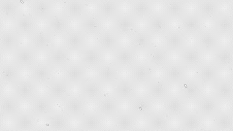 4K Falling Snow Overlay: Isolated Snowflakes for Motion Graphics &amp; Intense St Stock Footage 294947762