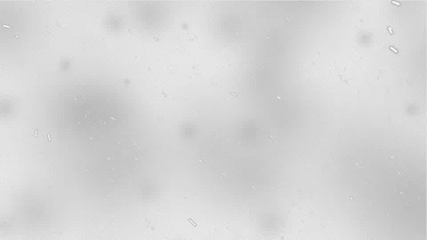 4K Falling Snow Overlay: Isolated Snowflakes for Motion Graphics &amp; Intense St Stock Footage 294948001