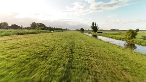 4K Fast Low Drone Flight Over Green Field Netherlands Summer Видео 317401797