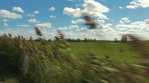 4k - Fast moving camera near a field and blue sky Video stock 67406739