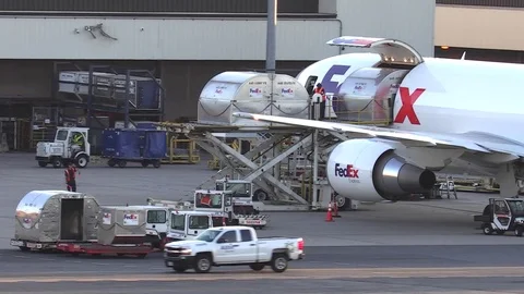 4K FedEx ground crew offloads shipping c... | Stock Video | Pond5