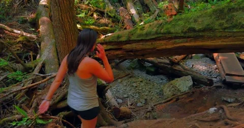 4K Female Walking though Trees, Under Fallen Tree Trunk Stock Footage 51385124