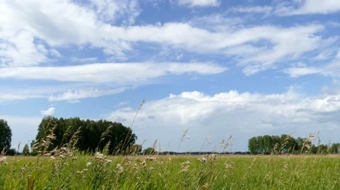 4k - Field and forest Stock Footage 53830682